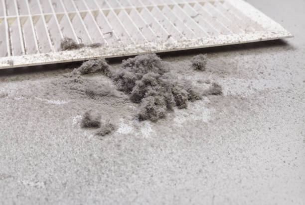 Best Affordable HVAC Duct Cleaning  in Brent, FL