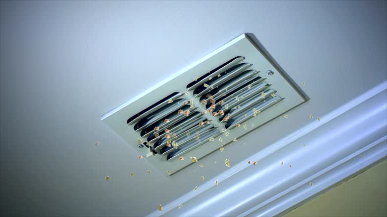 Best Emergency Air Duct Cleaning  in Brent, FL
