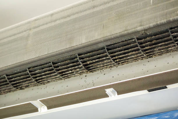 Best Air Quality Test  in Brent, FL