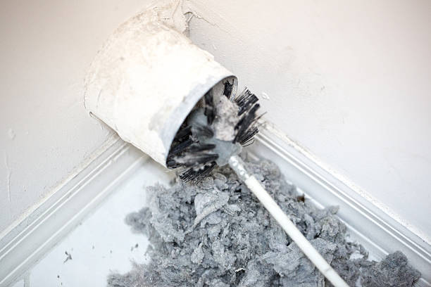 Best Affordable Air Duct Cleaning  in Brent, FL